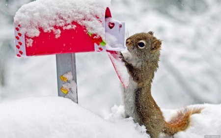 Remélem tetszeni fog neki!